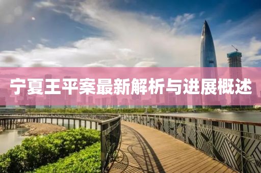 宁夏王平案最新解析与进展概述