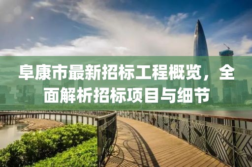 阜康市最新招标工程概览，全面解析招标项目与细节