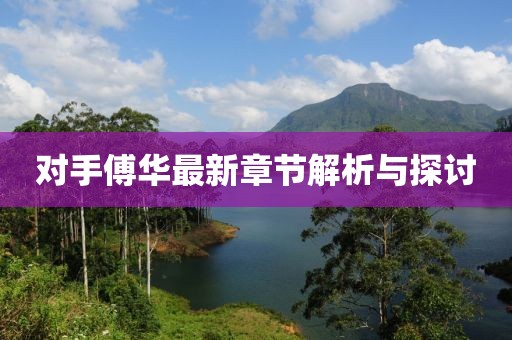 对手傅华最新章节解析与探讨