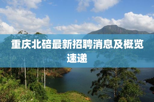 重庆北碚最新招聘消息及概览速递
