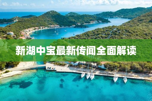 新湖中宝最新传闻全面解读
