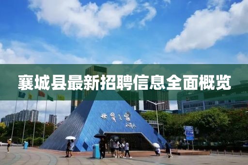 一种梦想 第33页