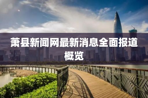 萧县新闻网最新消息全面报道概览