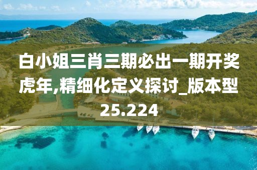 白小姐三肖三期必出一期开奖虎年,精细化定义探讨_版本型25.224
