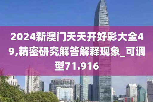 2024新澳门天天开好彩大全49,精密研究解答解释现象_可调型71.916