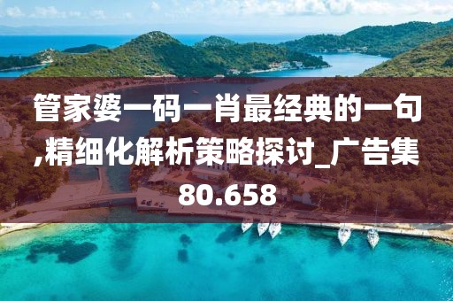 管家婆一码一肖最经典的一句,精细化解析策略探讨_广告集80.658