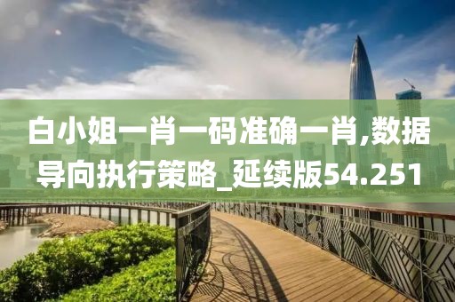 白小姐一肖一码准确一肖,数据导向执行策略_延续版54.251