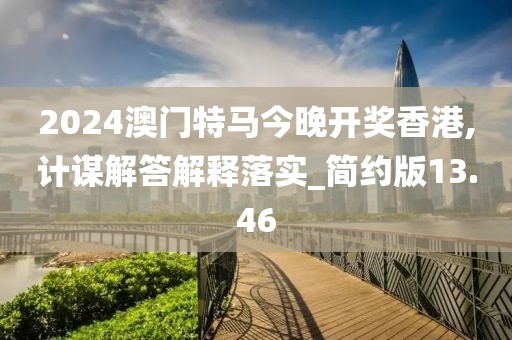 2024澳门特马今晚开奖香港,计谋解答解释落实_简约版13.46