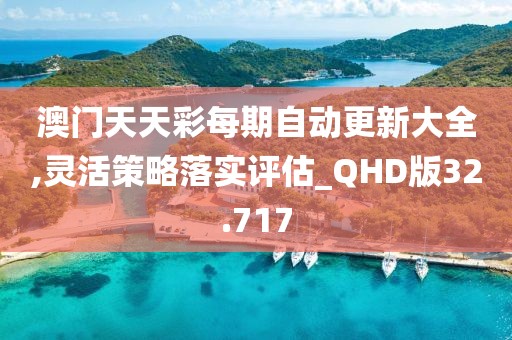 澳门天天彩每期自动更新大全,灵活策略落实评估_QHD版32.717