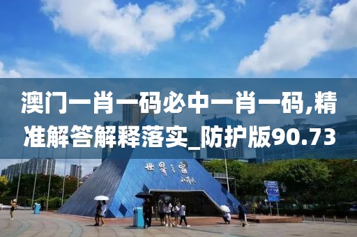 澳门一肖一码必中一肖一码,精准解答解释落实_防护版90.73