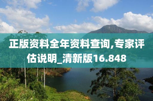 正版资料全年资料查询,专家评估说明_清新版16.848