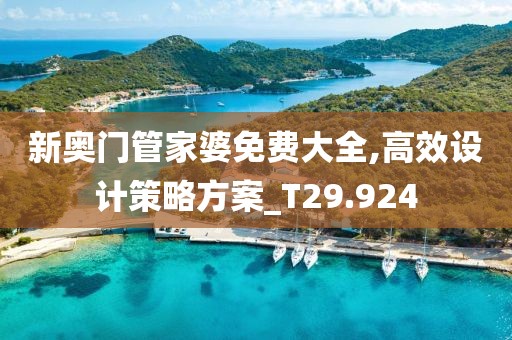 新奥门管家婆免费大全,高效设计策略方案_T29.924