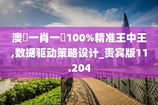 澳門一肖一碼100%精准王中王,数据驱动策略设计_贵宾版11.204