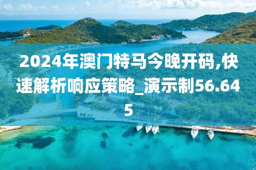 2024年澳门特马今晚开码,快速解析响应策略_演示制56.645