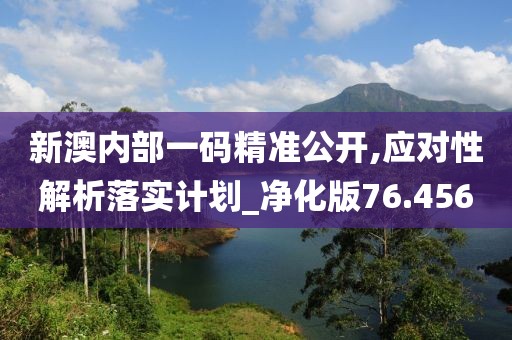 新澳内部一码精准公开,应对性解析落实计划_净化版76.456