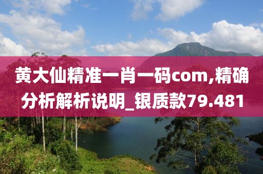黄大仙精准一肖一码com,精确分析解析说明_银质款79.481