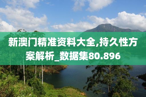 新澳门精准资料大全,持久性方案解析_数据集80.896