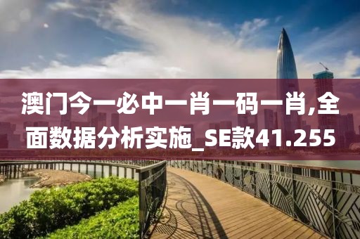澳门今一必中一肖一码一肖,全面数据分析实施_SE款41.255