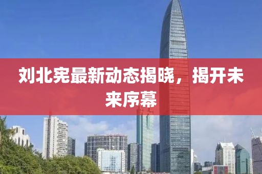 刘北宪最新动态揭晓，揭开未来序幕