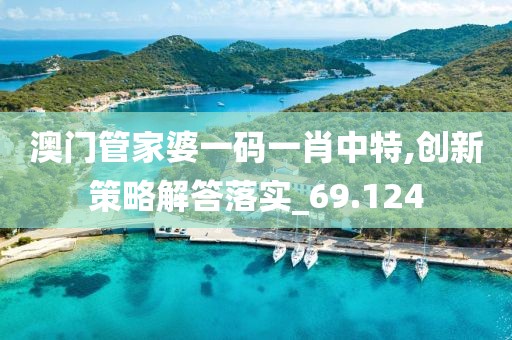 澳门管家婆一码一肖中特,创新策略解答落实_69.124