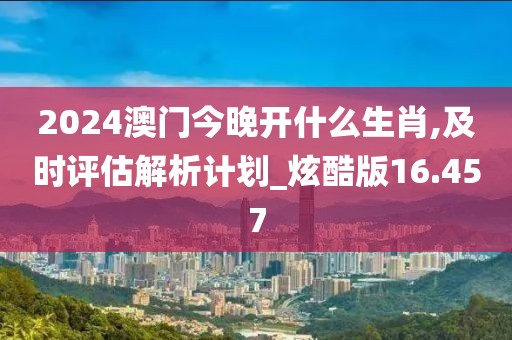 2024澳门今晚开什么生肖,及时评估解析计划_炫酷版16.457