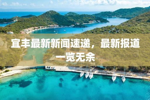 宜丰最新新闻速递，最新报道一览无余