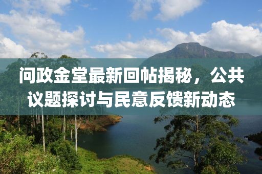问政金堂最新回帖揭秘，公共议题探讨与民意反馈新动态