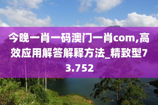 今晚一肖一码澳门一肖com,高效应用解答解释方法_精致型73.752