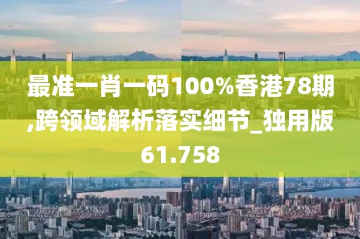 最准一肖一码100%香港78期,跨领域解析落实细节_独用版61.758