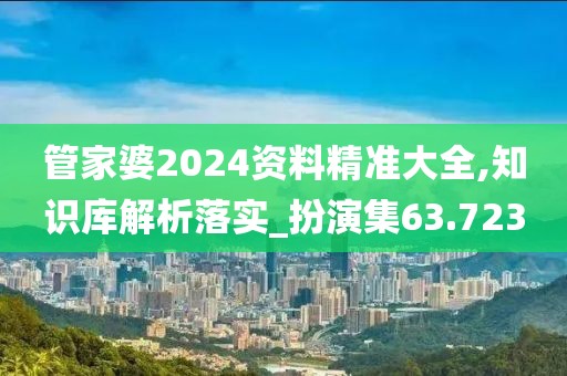 管家婆2024资料精准大全,知识库解析落实_扮演集63.723