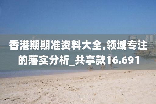 香港期期准资料大全,领域专注的落实分析_共享款16.691