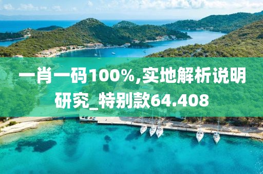 一肖一码100%,实地解析说明研究_特别款64.408