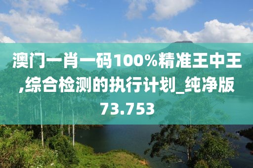 澳门一肖一码100%精准王中王,综合检测的执行计划_纯净版73.753