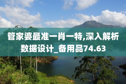 管家婆最准一肖一特,深入解析数据设计_备用品74.63