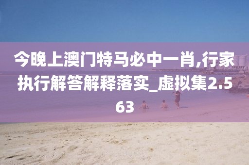 今晚上澳门特马必中一肖,行家执行解答解释落实_虚拟集2.563