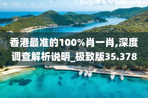 香港最准的100%肖一肖,深度调查解析说明_极致版35.378
