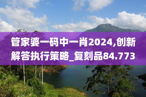 管家婆一码中一肖2024,创新解答执行策略_复刻品84.773