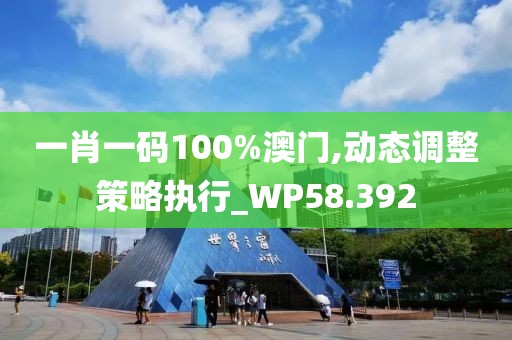 一肖一码100%澳门,动态调整策略执行_WP58.392