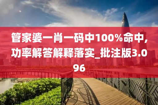 管家婆一肖一码中100%命中,功率解答解释落实_批注版3.096