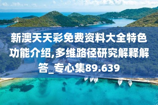 新澳天天彩免费资料大全特色功能介绍,多维路径研究解释解答_专心集89.639