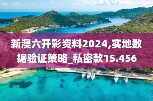 新澳六开彩资料2024,实地数据验证策略_私密款15.456