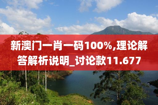 新澳门一肖一码100%,理论解答解析说明_讨论款11.677