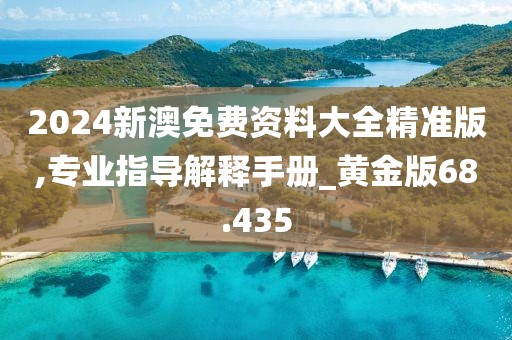 2024新澳免费资料大全精准版,专业指导解释手册_黄金版68.435