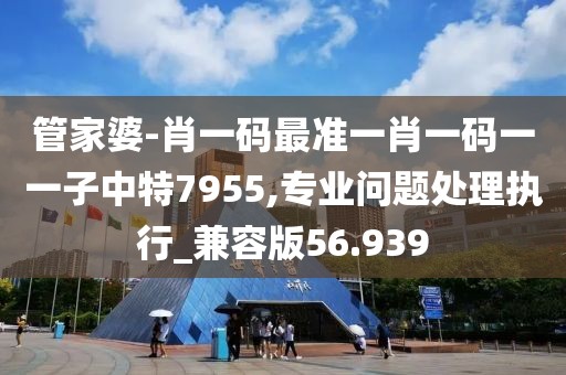 管家婆-肖一码最准一肖一码一一子中特7955,专业问题处理执行_兼容版56.939