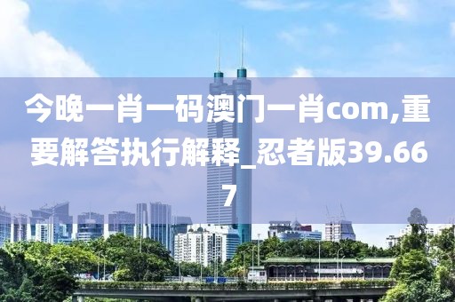 今晚一肖一码澳门一肖com,重要解答执行解释_忍者版39.667