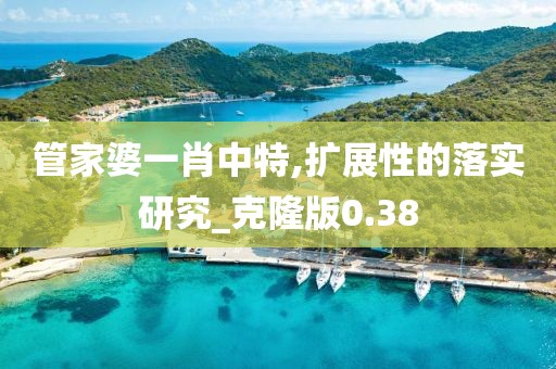 管家婆一肖中特,扩展性的落实研究_克隆版0.38