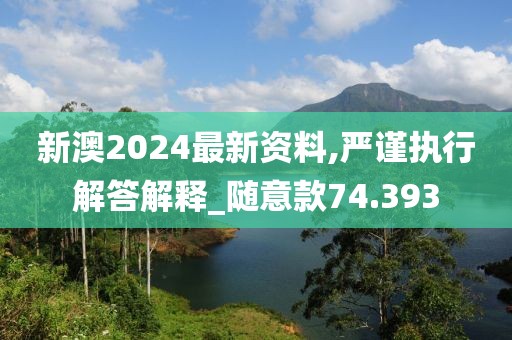 新澳2024最新资料,严谨执行解答解释_随意款74.393