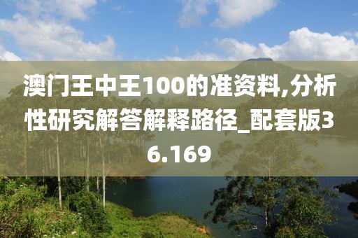 澳门王中王100的准资料,分析性研究解答解释路径_配套版36.169