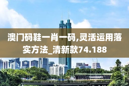 澳门码鞋一肖一码,灵活运用落实方法_清新款74.188