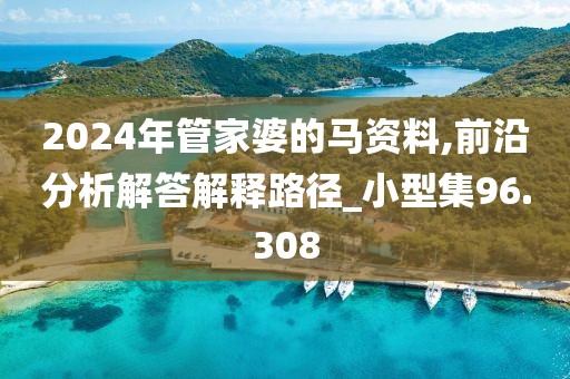 2024年管家婆的马资料,前沿分析解答解释路径_小型集96.308